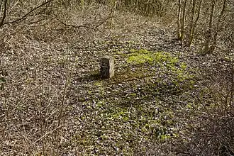 La dalle est située au milieu de broussailles et d'arbustes.