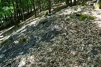 Terril de schiste au Kohlberg.