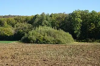 Terril du puits no&nbsp;3.