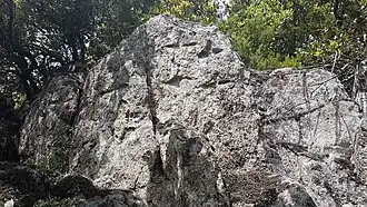 Une partie de la paroi.