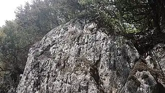 Une autre partie de la paroi.