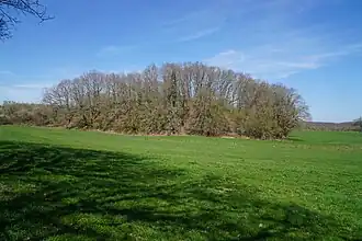 L'extrémité du terril.