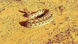 Description de l'image 20190710 192048 copy 1134x637.jpg.