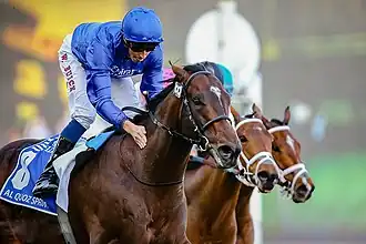 Image illustrative de l’article Blue Point