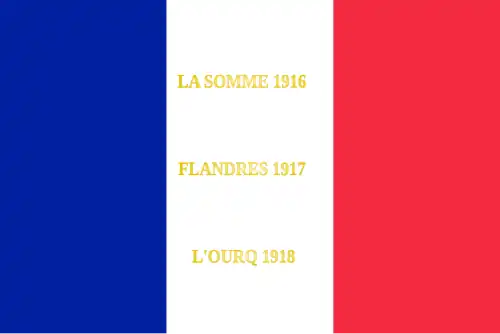 Drapeau du 201e régiment d'infanterie  de l'armée française, avec ses batailles.