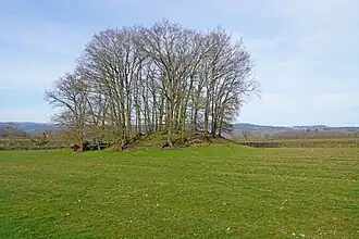 Le terril du puits no&nbsp;5.