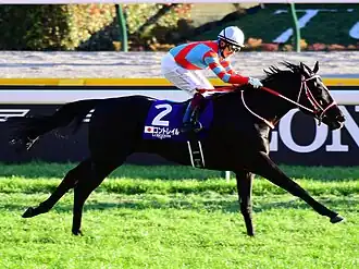 Image illustrative de l’article Contrail (cheval)