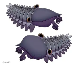 Description de l'image 20210619 Hurdia.png.