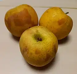 Échaudure sur pomme (Variété Chantecler)