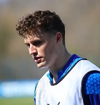 Image illustrative de l’article Benedikt Pichler