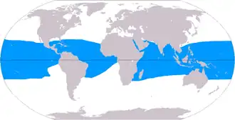 Description de l'image 20 Grad Isotherme.png.