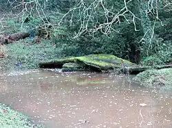 Ancien pont sur la Mignonne à Stang Meyet (limite des communes de Saint-Urbain et Irvillac).