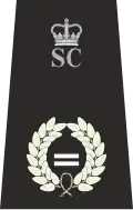 Assistant Chief Officer MSC