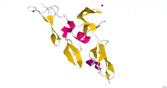 Image illustrative de l’article Fibrilline