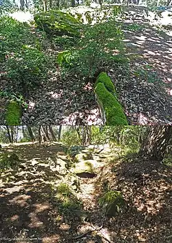 Image illustrative de l’article Dolmens de la pointe de Toulvern