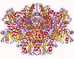 Description de cette image, également commentée ci-après