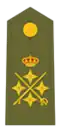 General de Ejército