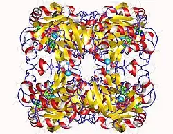 Description de cette image, également commentée ci-après