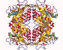 Description de cette image, également commentée ci-après