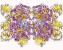 Description de cette image, également commentée ci-après