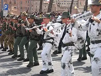 Image illustrative de l’article Alpins