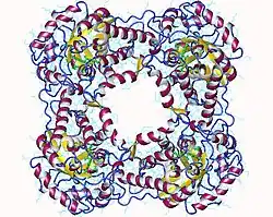 Description de cette image, également commentée ci-après