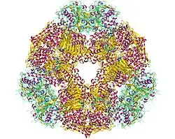 Description de cette image, également commentée ci-après