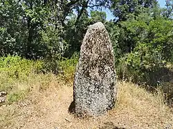 3ème menhir de Lambert redresé au niveau du parking de la Croix d'Anselme.