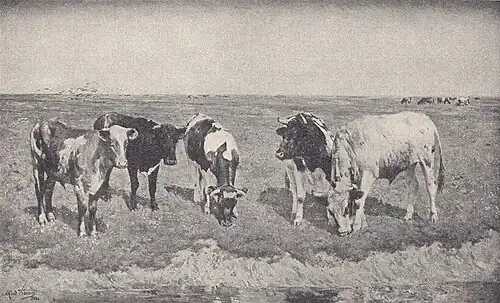 Au beau pays de Flandre, musées royaux des Beaux-Arts de Belgique