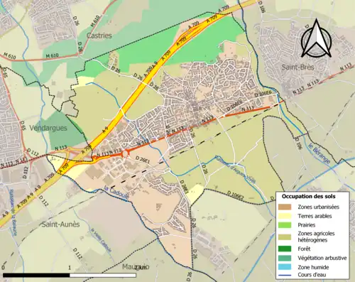 Carte en couleurs présentant l'occupation des sols.