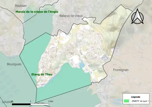 Carte de la ZNIEFF de type 1 sur la commune.