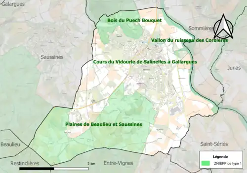 Carte des ZNIEFF de type 1 dans la commune.