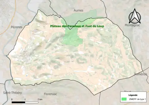 Carte de la ZNIEFF de type 1 sur la commune.