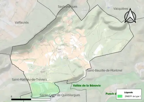 Carte de la ZNIEFF de type 1 sur la commune.
