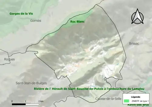 Carte de la ZNIEFF de type 1 sur la commune.