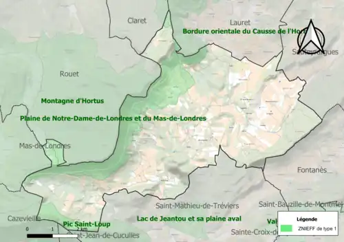 Carte des ZNIEFF de type 1 sur la commune.