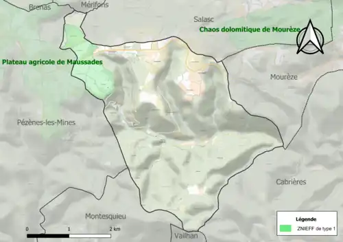 Carte de la ZNIEFF de type 1 sur la commune.