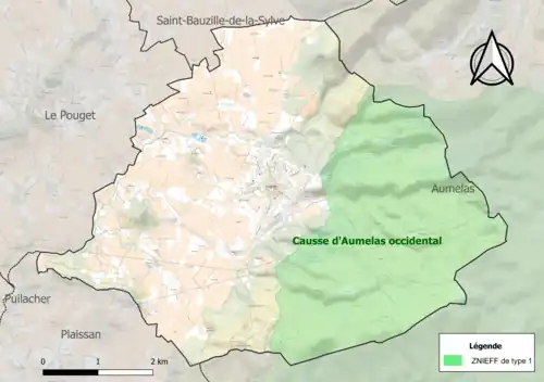 Carte de la ZNIEFF de type 1 sur la commune.