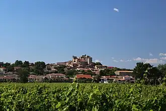 Vue générale de Puissalicon.