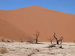 La dune 9 et les arbres morts de Dead Vlei.