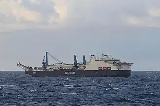 illustration de Castorone