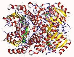 Description de cette image, également commentée ci-après