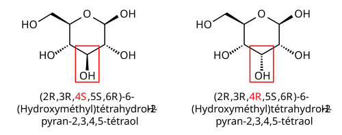 Épimère du β-D-glucose