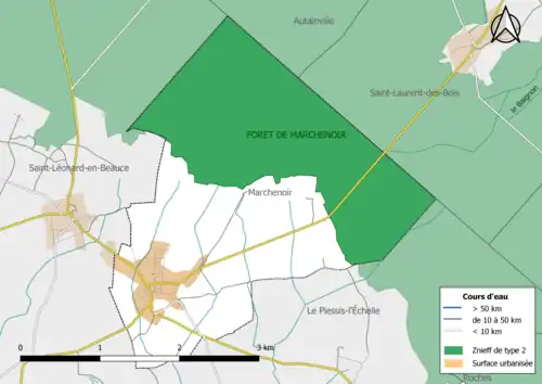 Carte de la ZNIEFF de type 2 localisée dans la commune « la Forêt de Marchenoir ».