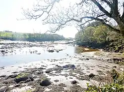 L'Aber Ildut à marée basse vu des environs du moulin de Bel-Air en Brélès (vue vers l'aval).