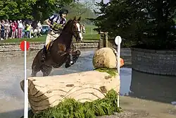 Un cheval alezan et son cavalier au milieu d’un gué franchissent un obstacle en bois représentant un canard géant.