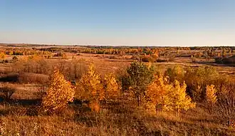 Parc national de Yavoriv en automne.