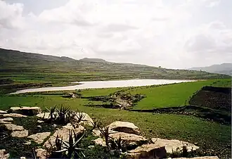 Image illustrative de l’article May Leiba