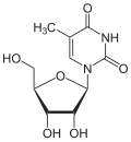 structure chimique de la ribothymidine