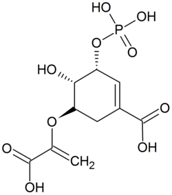 Image illustrative de l’article Acide 5-O-(1-carboxyvinyl)-3-phosphoshikimique